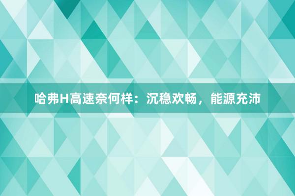 哈弗H高速奈何样：沉稳欢畅，能源充沛